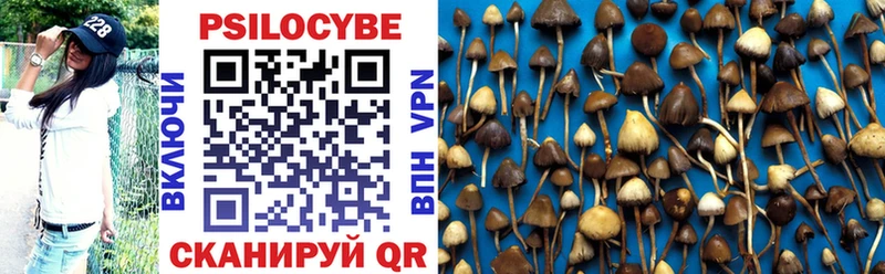 Галлюциногенные грибы Magic Shrooms  Петровск 
